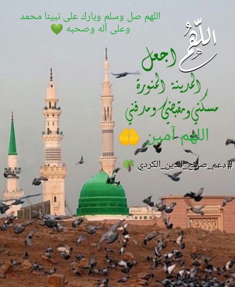 #دعم_صلاح_الدين_الكردي🌴#طيارة_المليون_العالمي🌎🟡 (@alkurdislahald2) on Twitter photo #صلوا_على_الحبيب_محمد_ﷺ♥️
#دعم_صلاح_الدين_الكردي🌴
<a href="/alkurdislahald2/">#دعم_صلاح_الدين_الكردي🌴#طيارة_المليون_العالمي🌎🟡</a>
<a href="/alkurdislahaldi/">صلاح الدين الكردي</a>
<a href="/hala3s_/">hala3s_</a>
<a href="/bhxtxg12/">برنسيسه</a>
<a href="/turki1967/">ABU EBRAHEEM</a>
<a href="/maazi814/">معزي الظاهري</a>
<a href="/muna_alD/">بلقاوويه مزيوونه ❤️🇯🇴</a>
<a href="/N__alkurdi/">N__alkurdi.bavê Alan نجم الدين☀️</a>
<a href="/mbsrh999/">الهوى الغايب</a>
<a href="/mdgalgam4/">it’s up to me</a>
<a href="/ilanaaljamal/">ايلانا الجمال🖌</a>
<a href="/NouraAlgh55/">Noura</a>
<a href="/alkhdyry70729/">ريم العتيبي</a>
<a href="/abomhommed3/">صالح السعدي</a>
<a href="/iiman_almuqdasi/">إيمان 🌏🇸🇦🌏 إن شاء الله</a>
<a href="/abduallah0gham1/">عبدالله الغامدي</a>
لاتنسونا من 🔄 للنشر🌴 #صلوا_على_الحبيب_محمد_ﷺ♥️
#دعم_صلاح_الدين_الكردي🌴
<a href="/alkurdislahald2/">#دعم_صلاح_الدين_الكردي🌴#طيارة_المليون_العالمي🌎🟡</a>
<a href="/alkurdislahaldi/">صلاح الدين الكردي</a>
<a href="/hala3s_/">hala3s_</a>
<a href="/bhxtxg12/">برنسيسه</a>
<a href="/turki1967/">ABU EBRAHEEM</a>
<a href="/maazi814/">معزي الظاهري</a>
<a href="/muna_alD/">بلقاوويه مزيوونه ❤️🇯🇴</a>
<a href="/N__alkurdi/">N__alkurdi.bavê Alan نجم الدين☀️</a>
<a href="/mbsrh999/">الهوى الغايب</a>
<a href="/mdgalgam4/">it’s up to me</a>
<a href="/ilanaaljamal/">ايلانا الجمال🖌</a>
<a href="/NouraAlgh55/">Noura</a>
<a href="/alkhdyry70729/">ريم العتيبي</a>
<a href="/abomhommed3/">صالح السعدي</a>
<a href="/iiman_almuqdasi/">إيمان 🌏🇸🇦🌏 إن شاء الله</a>
<a href="/abduallah0gham1/">عبدالله الغامدي</a>
لاتنسونا من 🔄 للنشر🌴