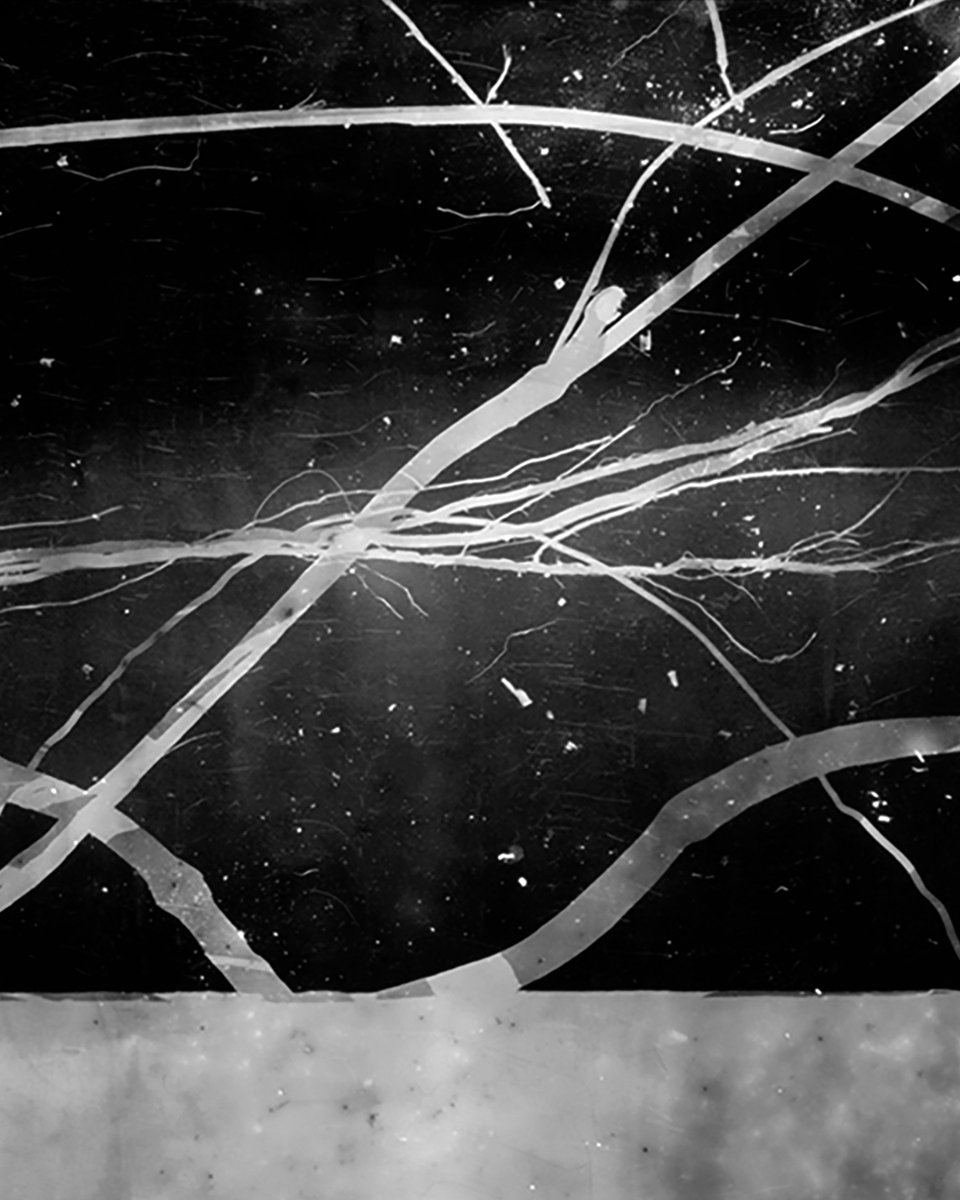 #PrixPictet 𝘚𝘵𝘰𝘳𝘮 shortlisted photographer Roberto Huarcaya created 'Amazograma #1' in collaboration with nature itself.

Discover the Prix Pictet Storm shortlist exhibition at the <a href="/V_and_A/">V&A</a>, London, from 26 September.
 
#PrixPictetStorm #RobertoHuarcaya