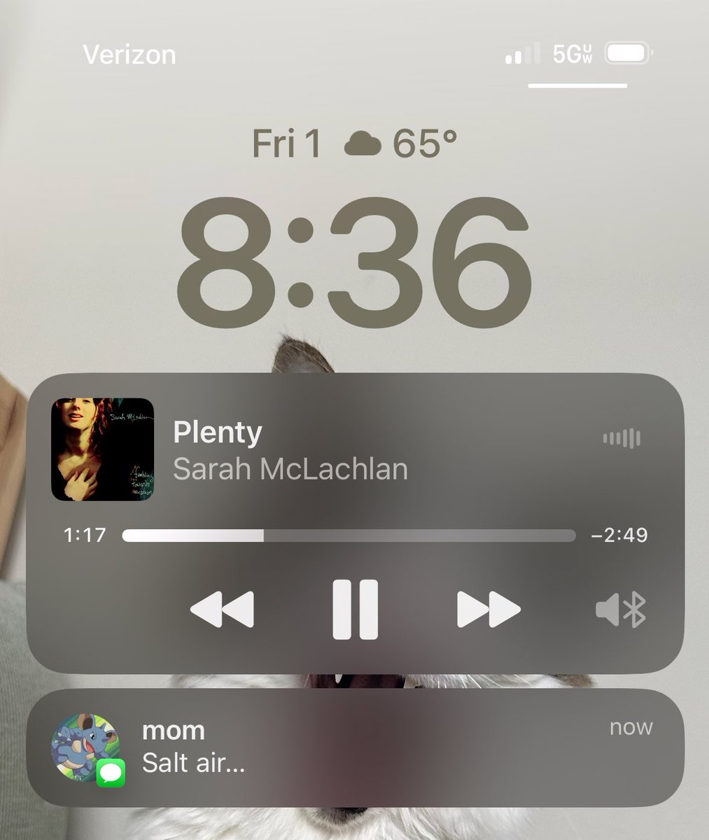 ryan (@oatmeaiboy) on Twitter photo 