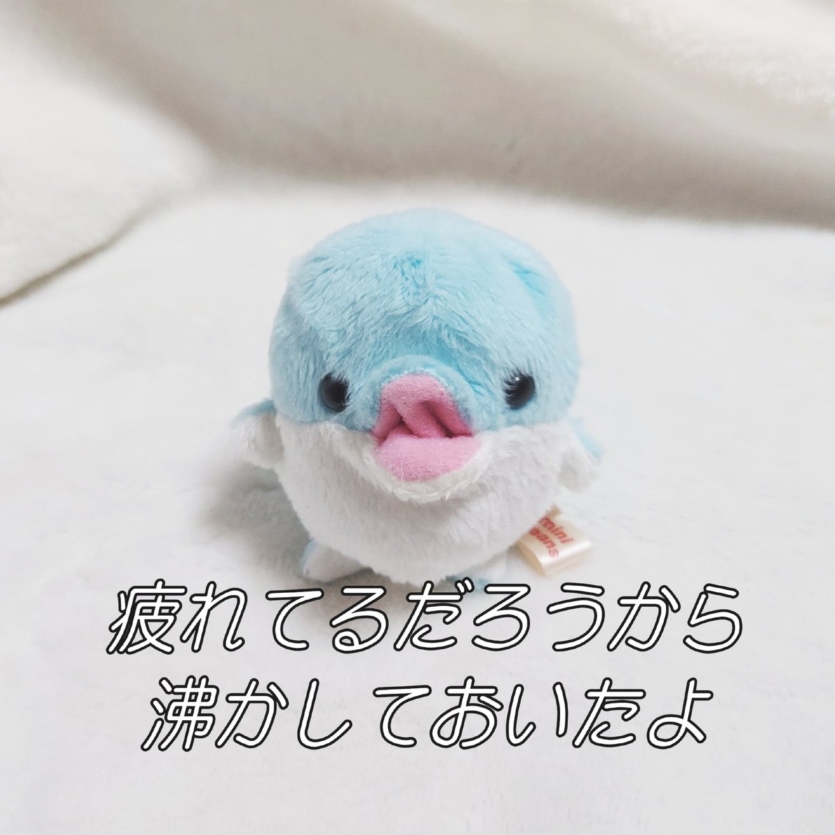 ささやか生活 tweet media