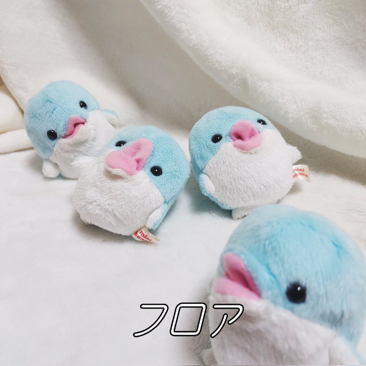 ささやか生活 (@lady_chisaine) on Twitter photo 