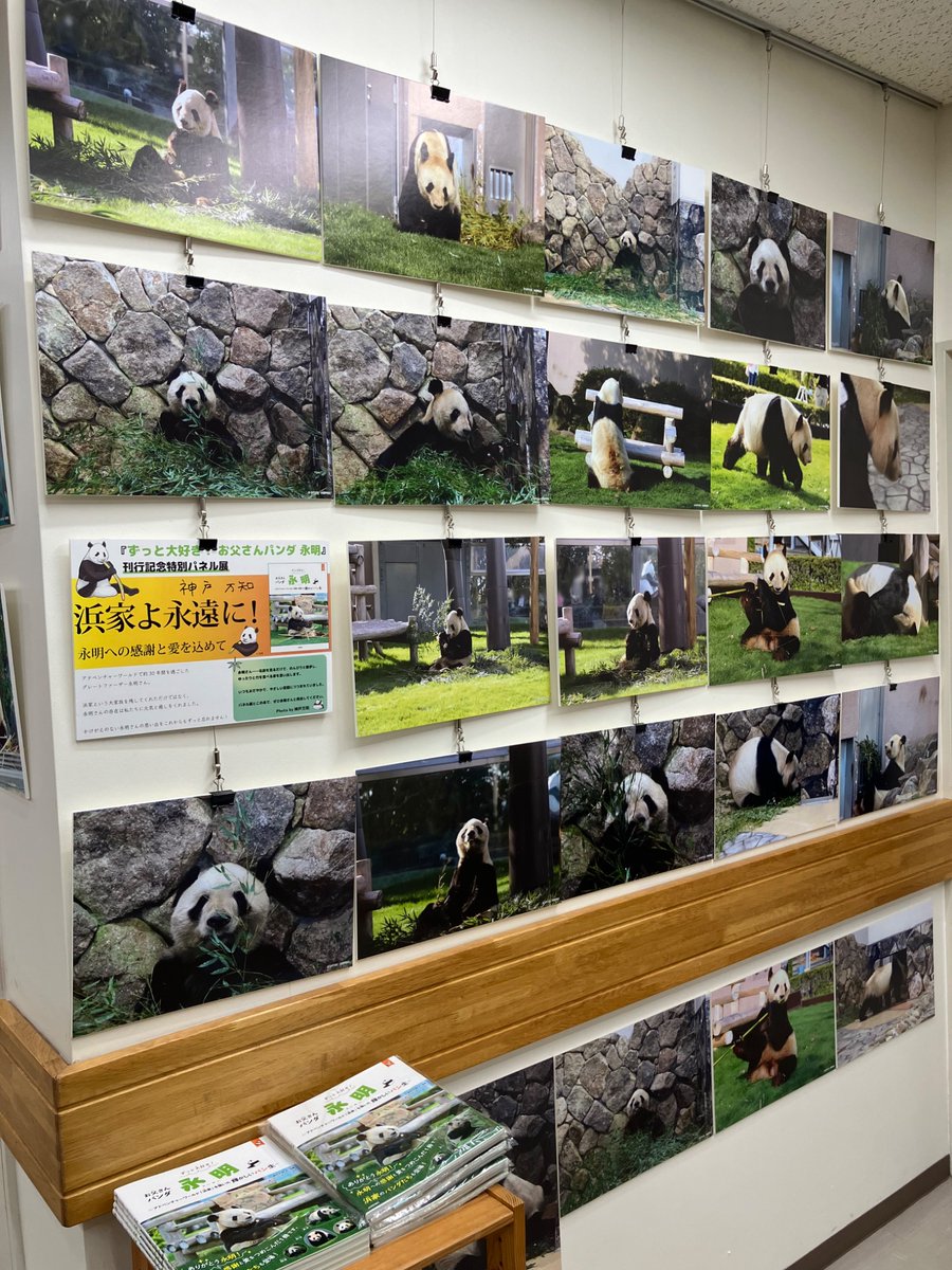 新刊　アドベンチャーワールド　お父さんパンダ　永明　本　アクリルスタンド　写真集 新刊 アドベンチャーワールド お父さんパンダ 永明 本 アクリル