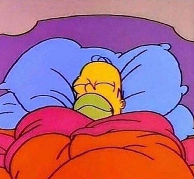Me sleeping because I hold NodeMonkes in my wallet.