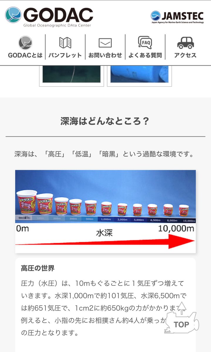 ブタメンなのなんかいい