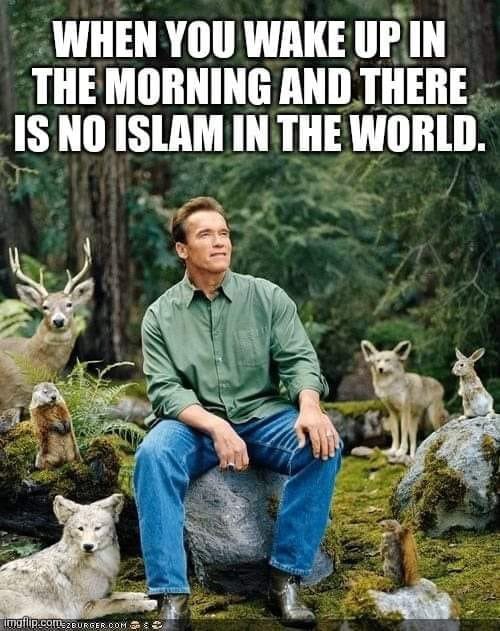 HJB News (@hjb_news__) on Twitter photo 