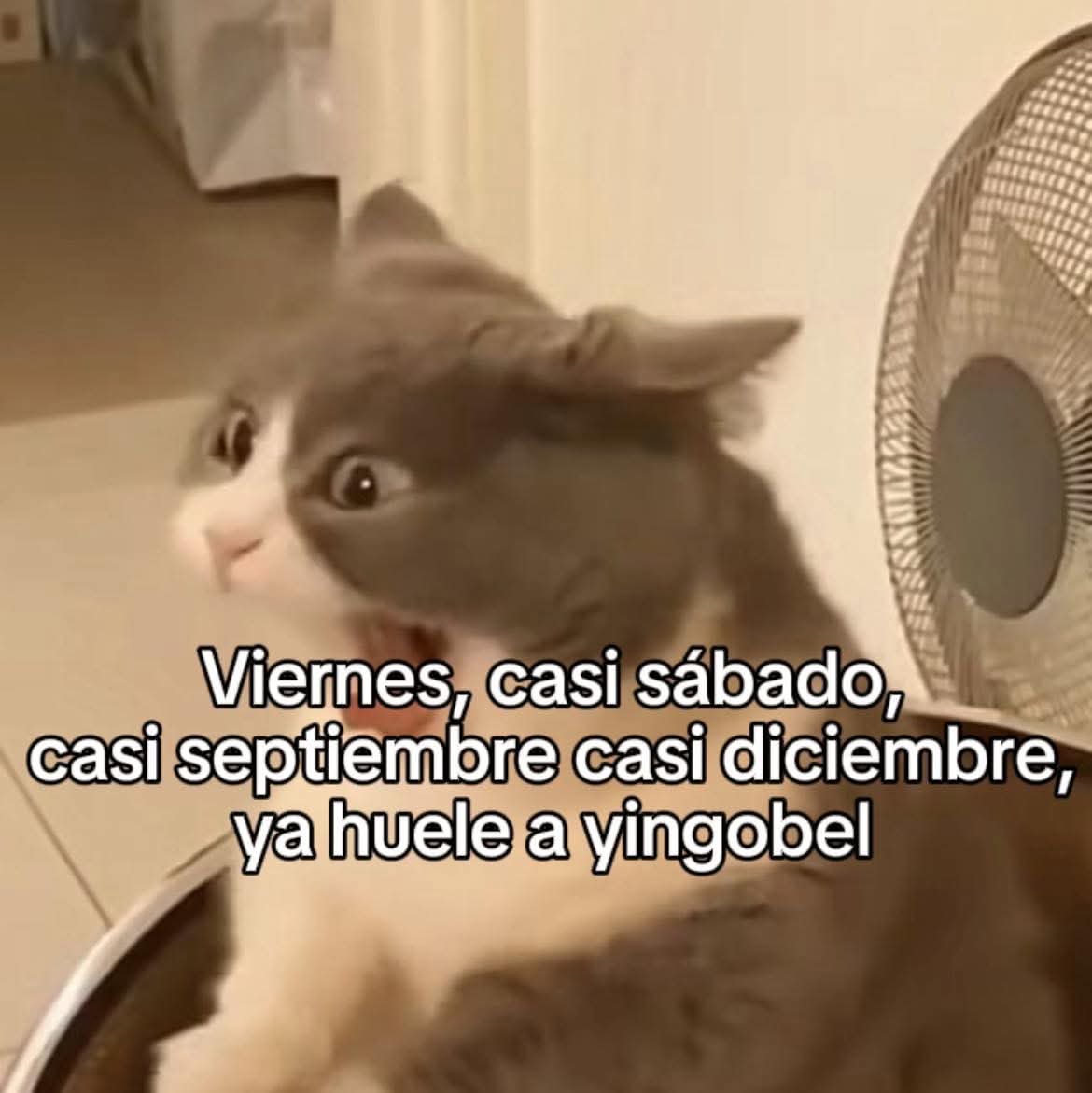 Luis Miguel Cantero Fernandez - Lomana (@luismicantero) on Twitter photo 