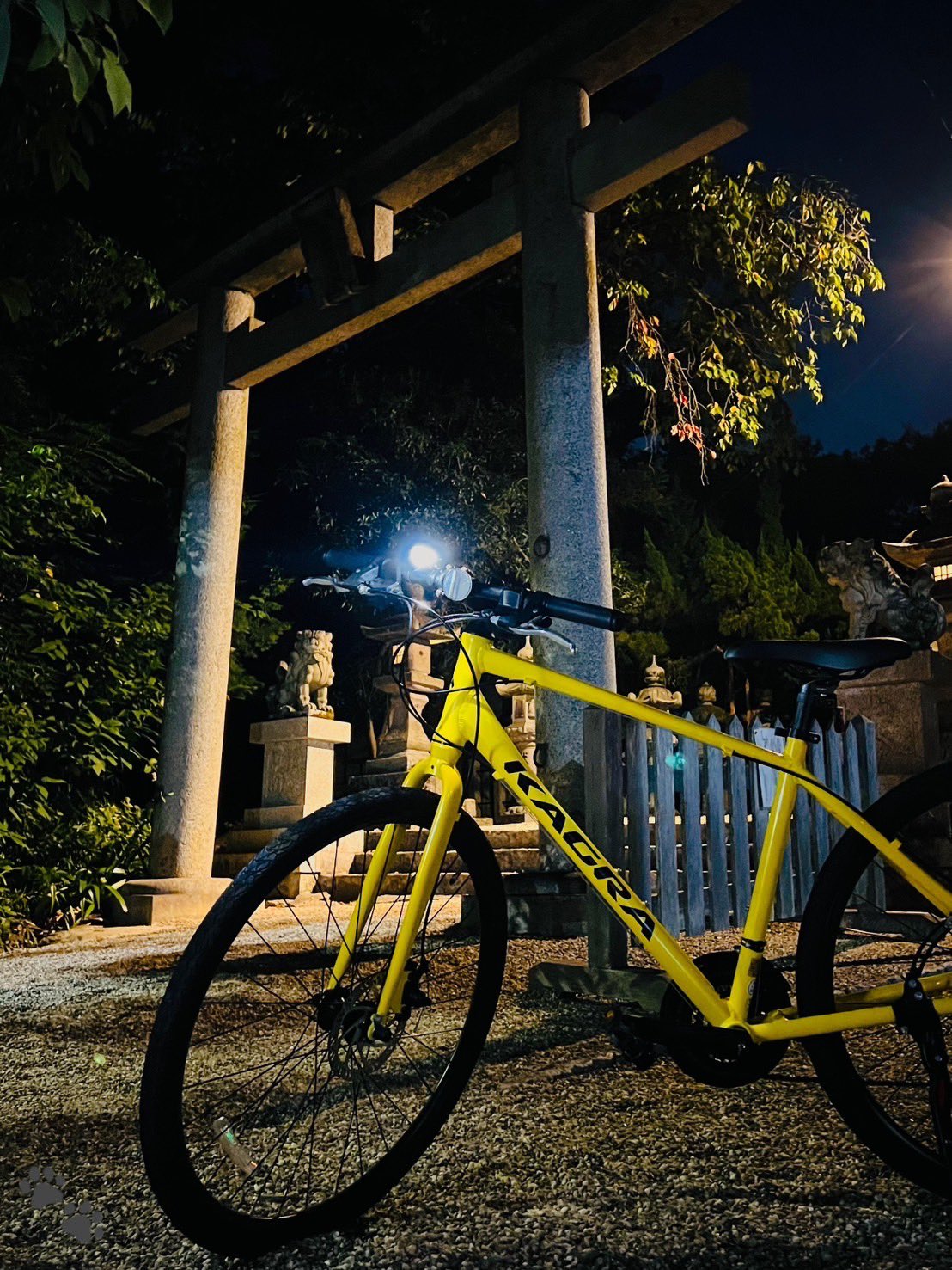 51 自転車　ギアOk　どりーむ鹿大前店　黄色　黒 51 自転車 ギアOk どりーむ鹿大前店 黄色 黒