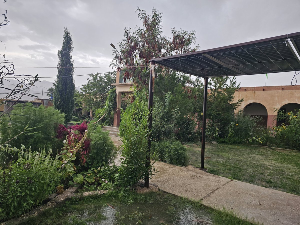 model public high school zehri (@qadirkanwal11) on Twitter photo 