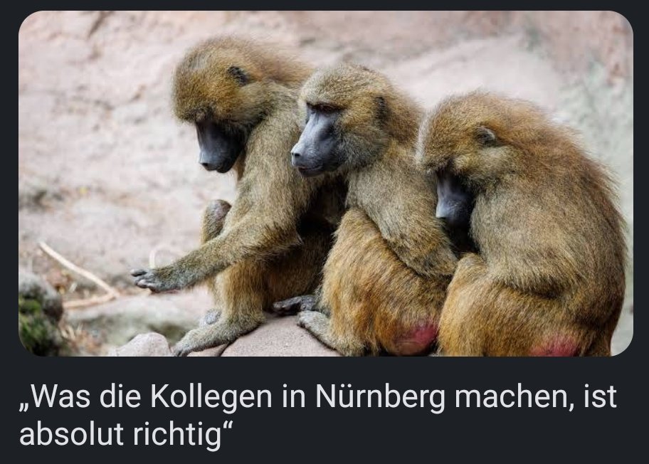 Das habe ich schon einmal gehört.