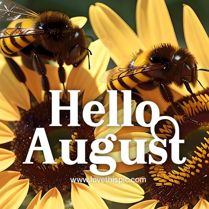 FanClub_Kourni's tweet image. Hello August and Goodbye July! 🌇🍎 🦋 Here’s to an exciting, joyful, enjoyable, peaceful, and blessed month! Your administrator Victoria 💖 

С последним летним месяцем ВАС, дорогие подписчики! 🌇🍎 🦋 Ваш администратор Виктория 💖
 
#лето #добропожаловать #summer #august