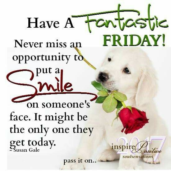 Pastor @DonJrCEO #WinningTeam #EWWNRadio (@donjrceo) on Twitter photo It's #Friday & the 1st of #Month, The Present is here it's a gift to be #Alive! #Pastor <a href="/DonJrCEO/">Pastor @DonJrCEO #WinningTeam #EWWNRadio</a> #EWWNRADIO #WinningTeam #365DaysOfRadio It's #Friday & the 1st of #Month, The Present is here it's a gift to be #Alive! #Pastor <a href="/DonJrCEO/">Pastor @DonJrCEO #WinningTeam #EWWNRadio</a> #EWWNRADIO #WinningTeam #365DaysOfRadio