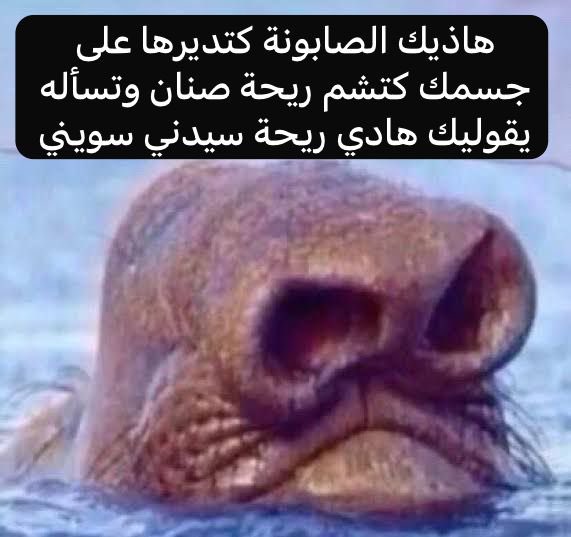 المية لونها مخضّر من الزناخة ويقولك سيدني سويني