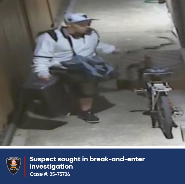 WindsorPolice's tweet photo. Suspect sought in break-and-enter investigation 
Case #: 25-75726
 
The Windsor Police Service seeks the public’s assistance identifying a suspect in connection with a residential break-and-enter.
 
On July 23, 2025, officers responded to a report of a break-in at a home in the 2200 block of Roxborough Blvd. The incident is believed to have occurred on July 17, while the occupants were out of town. A laptop and a large speaker were reported stolen.
 
The suspect is described as a white male, between 30 and 40 years old, wearing a white sweater, knee-high jean shorts with cuts on the front, and a white Toronto Blue Jays hat with a blue or purple rim. He was carrying a black backpack and a blue duffel bag and riding a bicycle. 
 
If you recognize the suspect or have any information, please contact the Target Base Unit at 519-255-6700, ext. 4350. You can also contact @CStoppers  anonymously at 519-258-8477 (TIPS) or online at https://t.co/Conpqkd9jb.