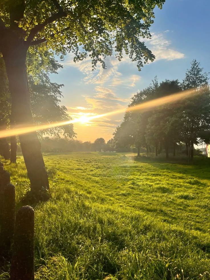 faeylicious's tweet image. ╭ ・🌦️ 彡 ― ― ― ― ― ― 🪟
☀️ — The rain finally stops, and the sun finally shine again! let&apos;s have a cozy day out! 👒
[ An Interactive Thread 🧵] #InteractiveThread