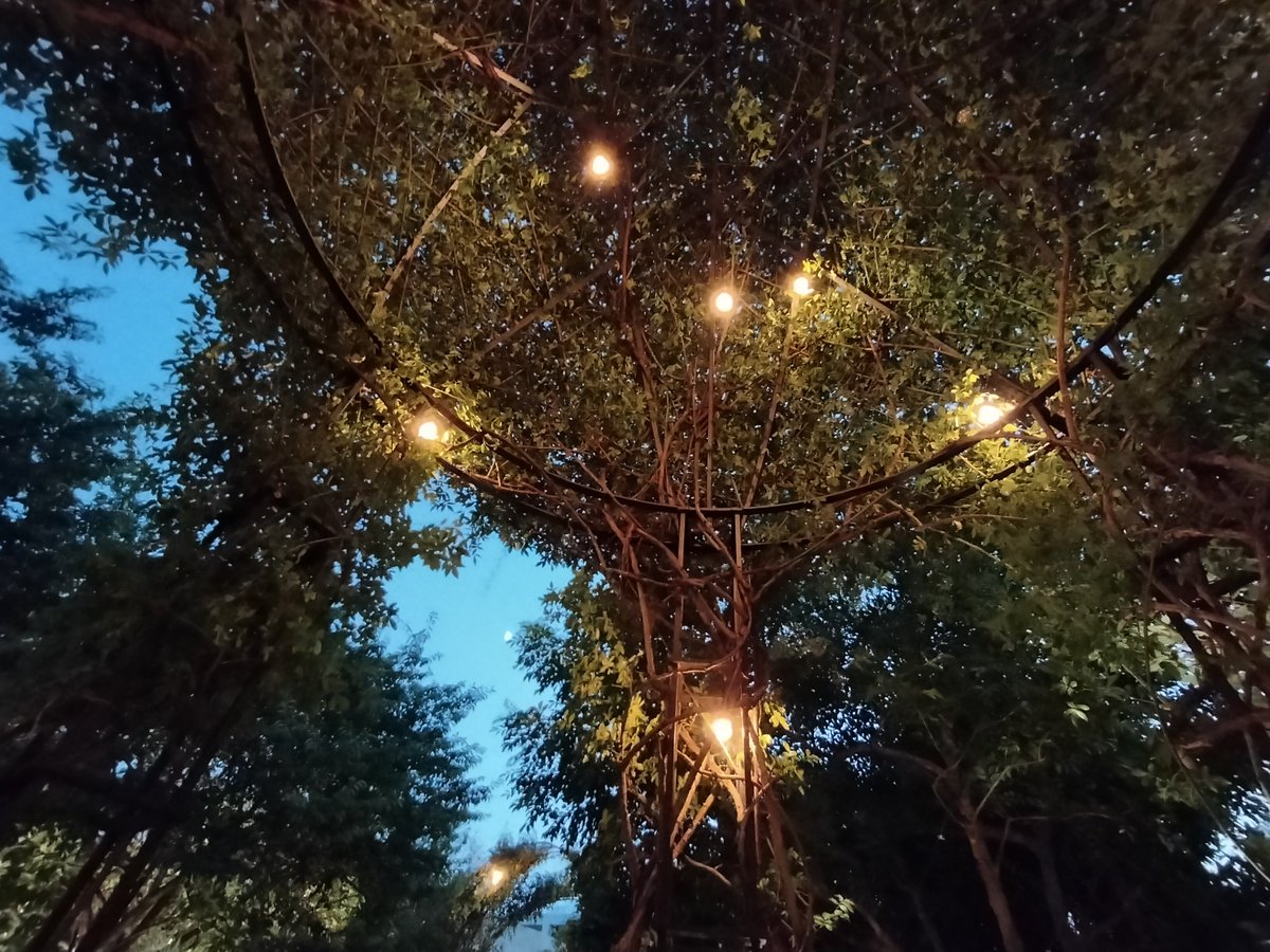 m.kobayashi (@funcap_1) on Twitter photo 