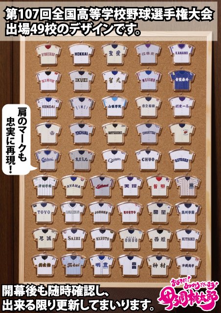 第83回甲子園(全国高校野球選手権大会)　城東高校記念グッズ 第83回甲子園(全国高校野球選手権大会) 城東高校記念グッズ