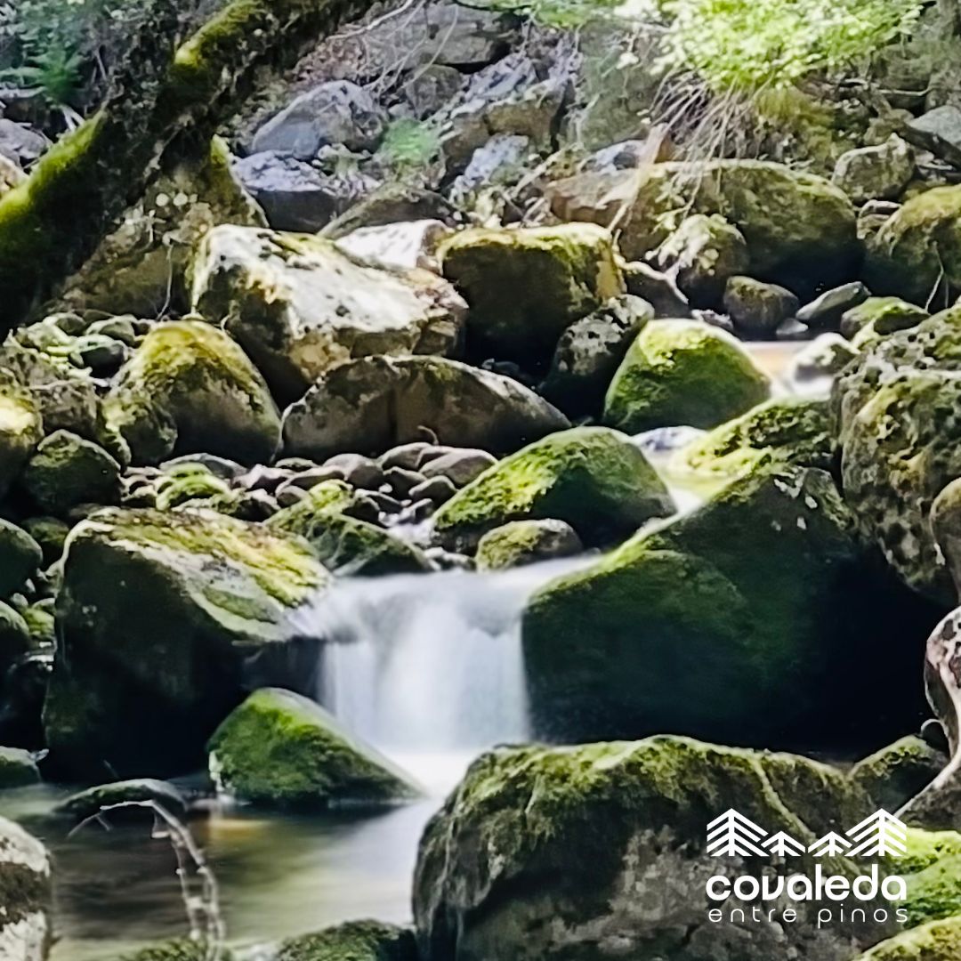 CovaledaTurismo (@covaledaturismo) on Twitter photo 