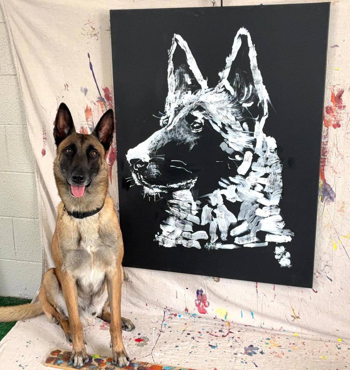 Luffy_Calls's tweet image. This talented dog will do great things on the bonk

$monkey