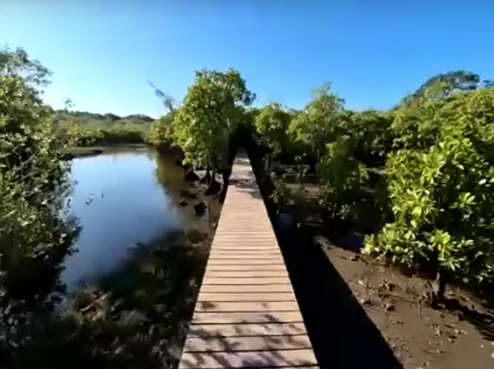 MPAsSA1's tweet photo. #MPADay2025
Have you ever explored a mangrove? They are fascinating marine ecosystems.
We've joined Mary Basson, senior community conservation officer, Ezemvelo KZN Wildlife, in the uThukela Marine Protected Area.
#MPADay https://t.co/1SWVhMuLty