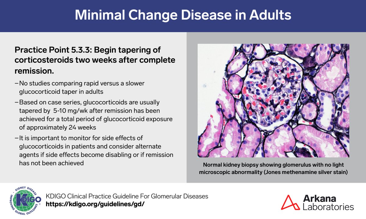 A sample from the pathology teaching slide set on Minimal Change Disease in Adults, jointly prepared by Arkana Laboratories and <a href="/goKDIGO/">KDIGO</a>. KDIGO.org/guidelines/gd/

#KDIGO #pathology #renal #renalpath #pathx #pathtwitter