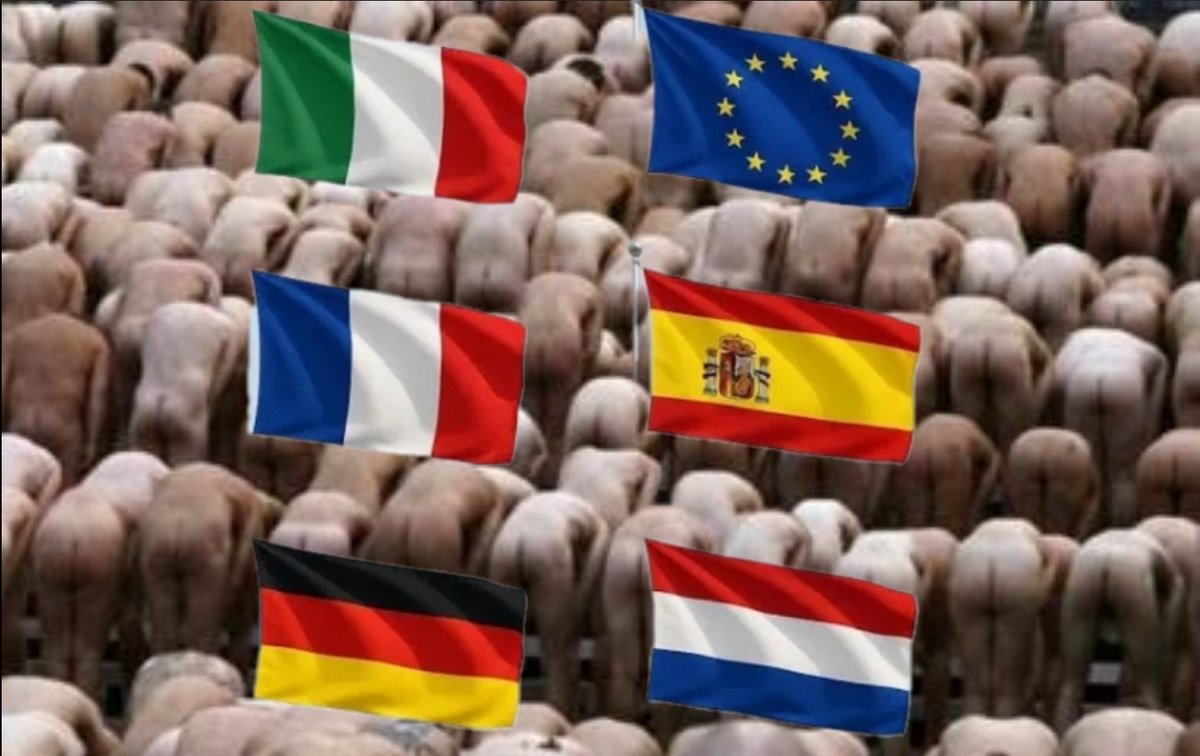 Tutti i politicanti EU,  sono a 90°