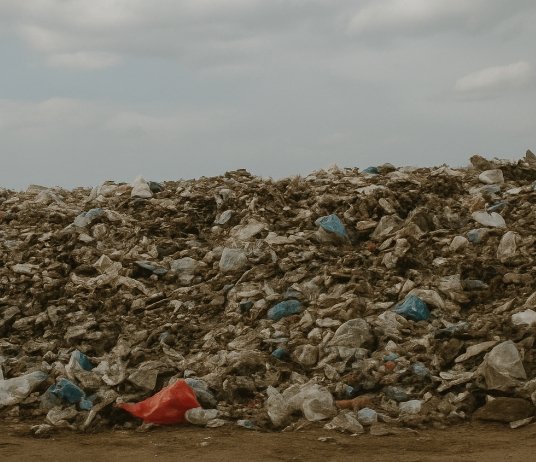 Climate change is real. Waste is rising.
At Trash2Treasure, we’re taking action:
♻️ Clean the streets
💰 Reward the effort
🤝 Build a greener future

We’re just getting started  join us.
📩 DM to volunteer or partner.

#Trash2Treasure #ActOnClimate #RecycleAndEarn #GreenAfrica