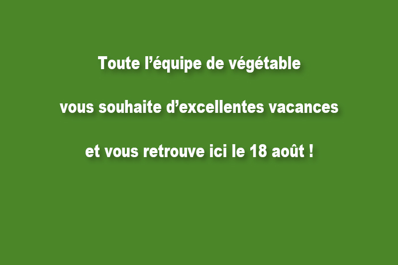 Un bel été !

 vegetable.fr/un-bel-ete/