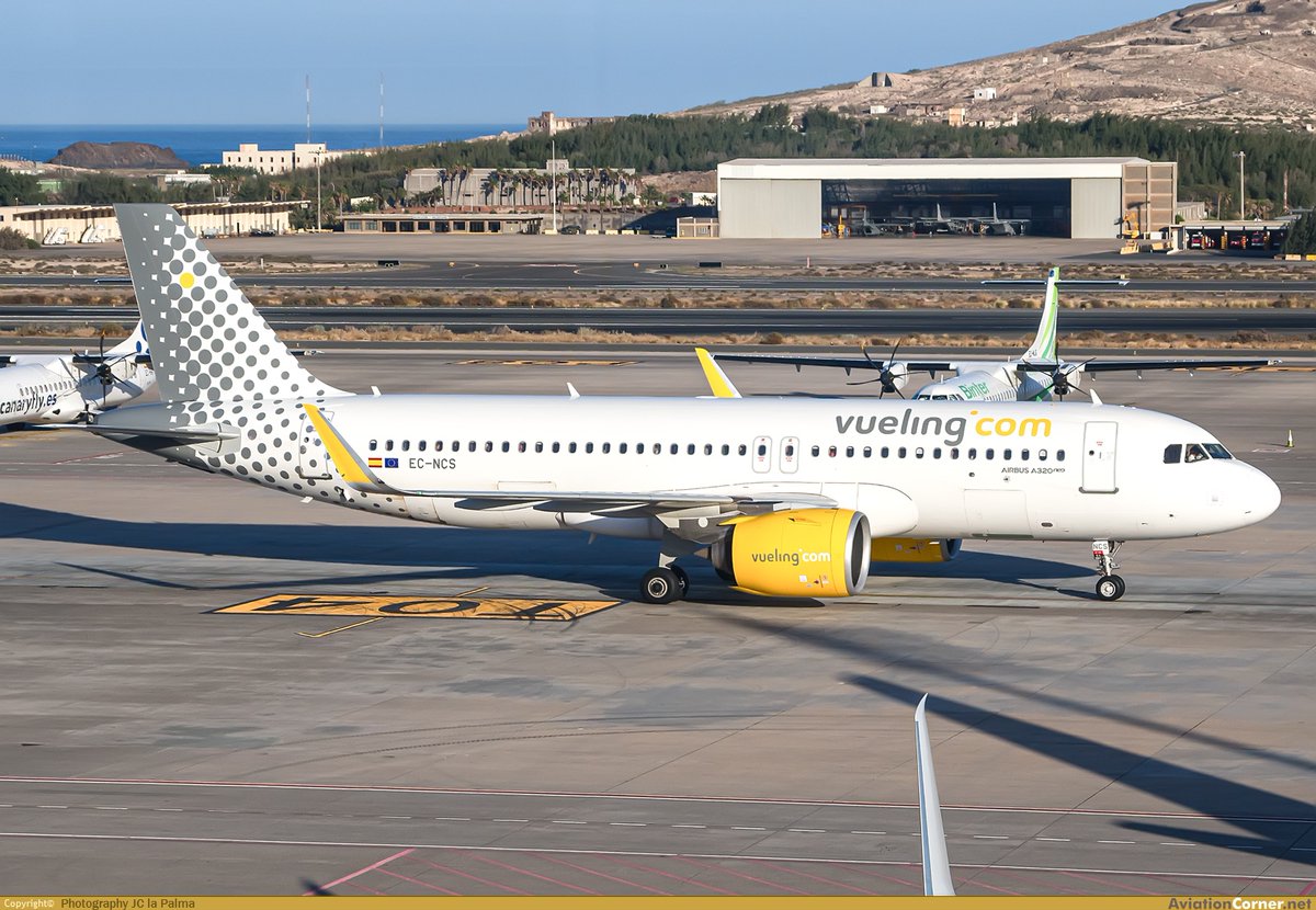 International Airlines Group (IAG) is choosing Boeing to renew and expand the fleet of all Airbus carrier Vueling.

The decision comes just days after the EU-US agreement that leaves aircraft exports tariff-free. The first 50 aircraft have a list price of €5.48 billion.

In the
