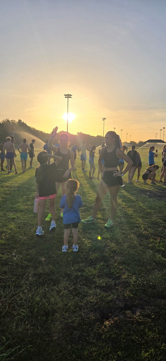 Hawk Running tweet media