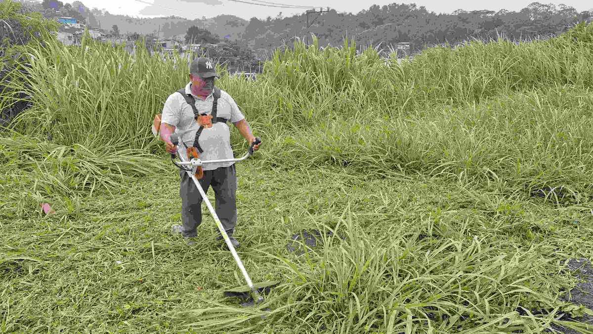 🌿 Seguridad aérea desde el suelo ✈️
La DGAC continúa fortaleciendo la seguridad operacional con jornadas de limpieza y mantenimiento de áreas verdes en los aeródromos de Chiquimula, Cobán, San José y el Aeropuerto Internacional Mundo Maya.

✅ Corte de césped
✅ Retiro de maleza