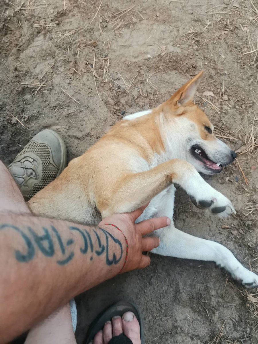 Війна,думки,вірші та справжне життя tweet media