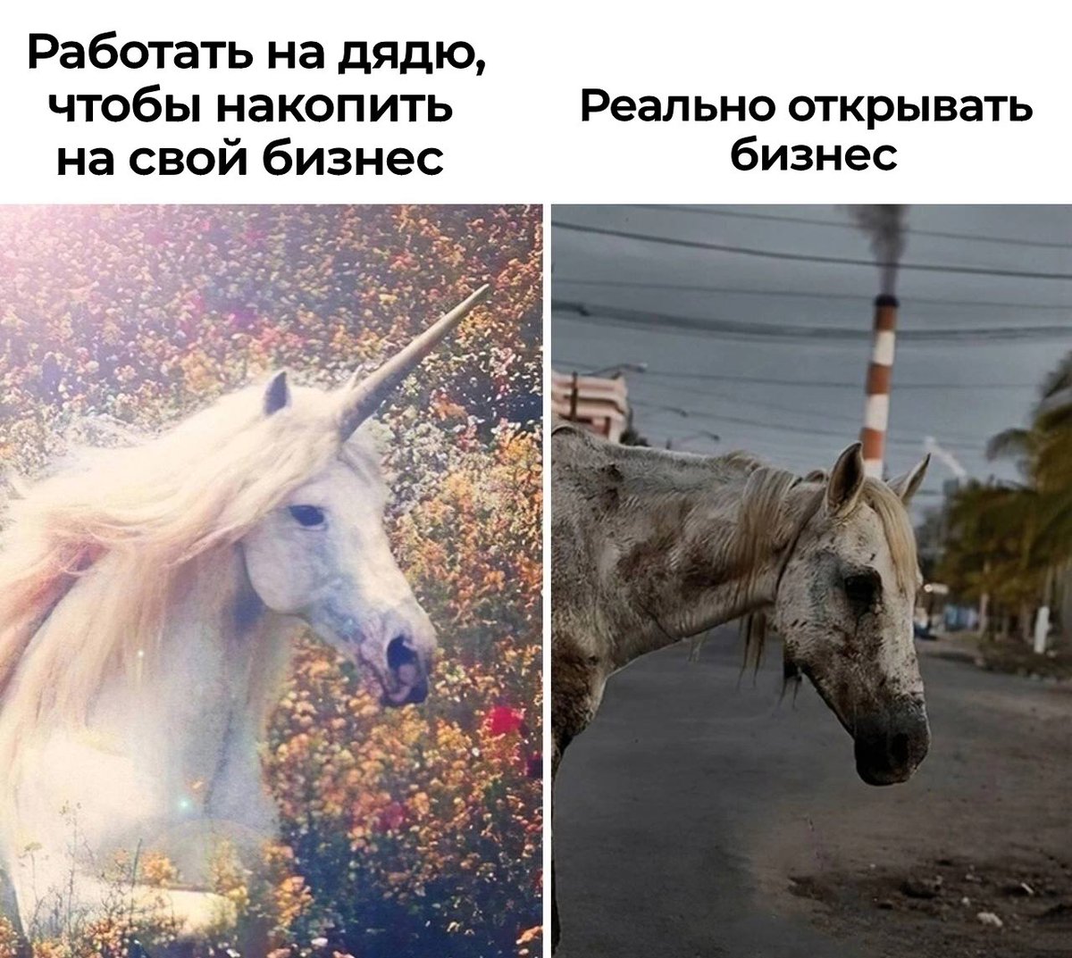 Модульбанк (@modulbank) on Twitter photo 