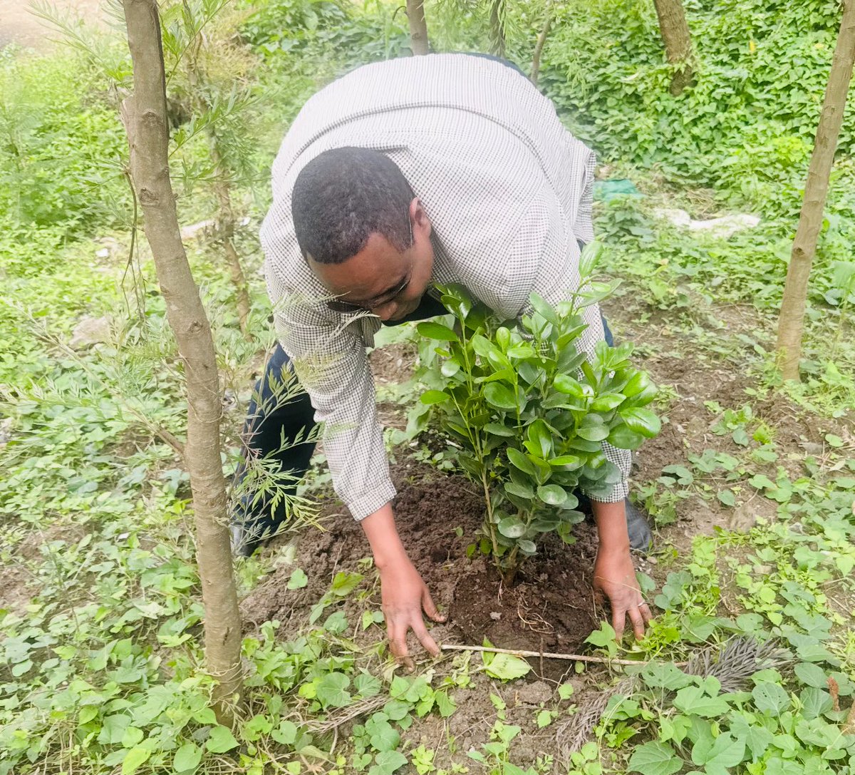 abdiOumeri's tweet photo. አረንጓዴ ዛፍ የሌለበት መሬት ልክ  ልብስ እንደሌለው እንደ እርቃን ሰው ክብርና ህይወት የተገፈፈ ማለት ነው። 
Dhul an geed-cagaaran lahayn, wuxuu la mid yahay qof qaawan oo mudh iyo andareera oo sharaftii iyo noloshii laga xayuubiyey. https://t.co/2ruc59Droc
