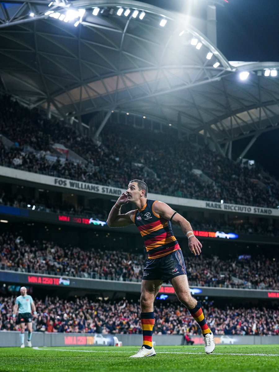 Adelaide_FC's tweet photo. Just, Tex ❤️ https://t.co/QaQQyZiLt2