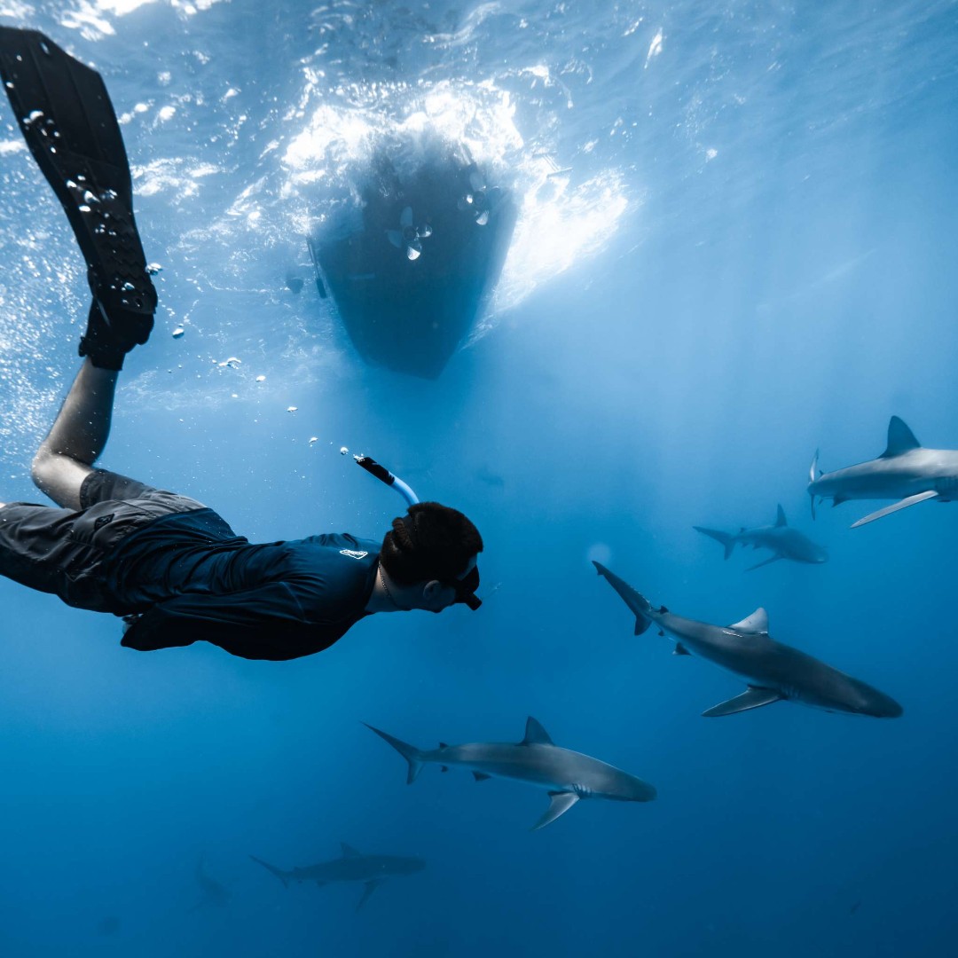 NAUI Worldwide tweet media