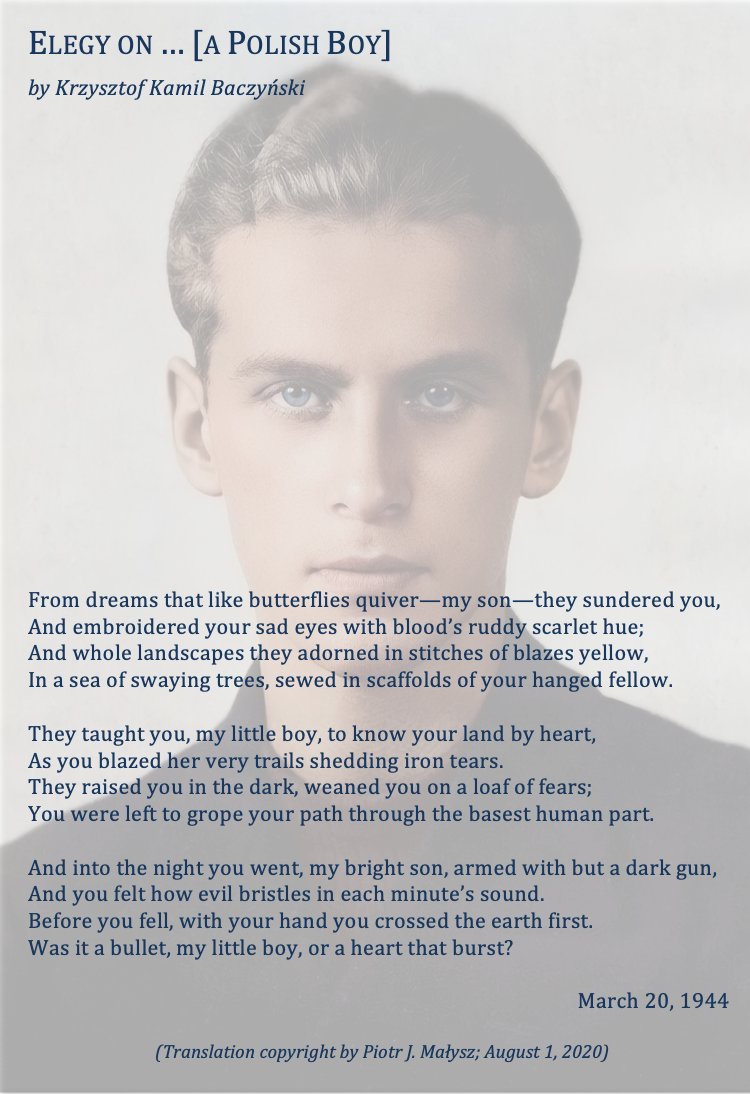 Piotr Małysz tweet media