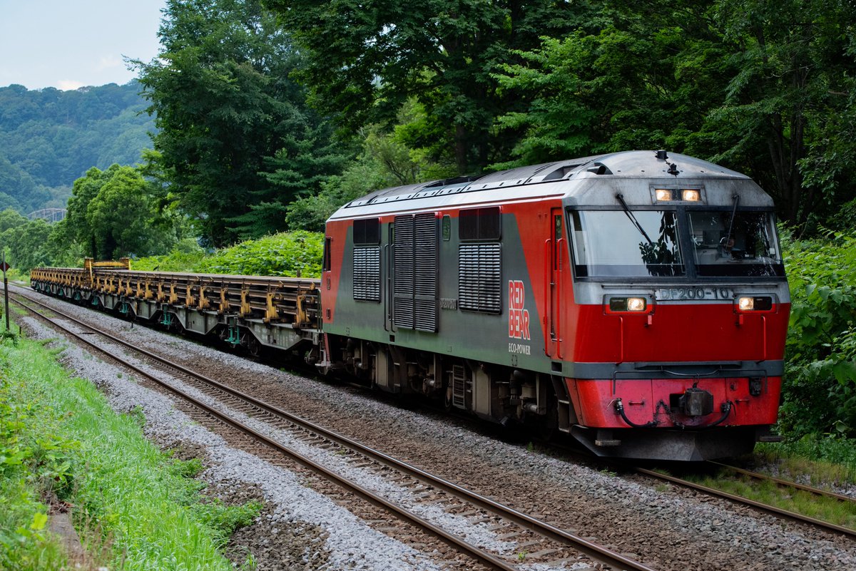 ぬこ (@nukko510) / Posts / X