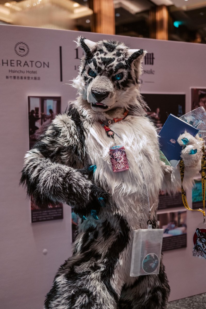 You wanna ask me something？
📸: <a href="/racoonwolf/">Rac'n 🐾 UTFG</a> #UTFG2025 #FursuitFriday