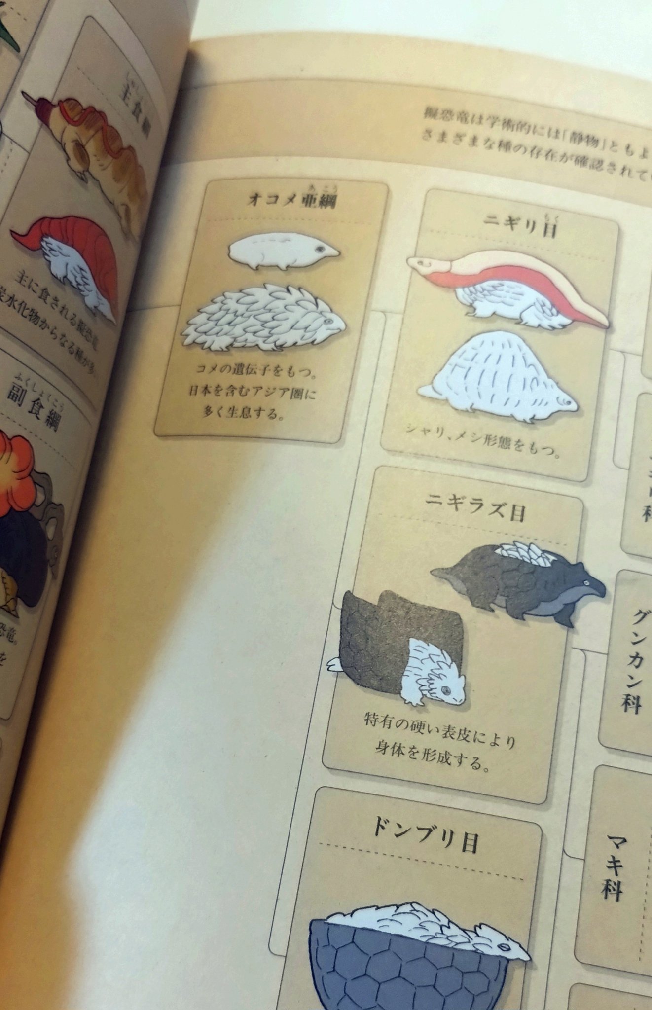 図書　図鑑 新 日本の昆虫1900(2)トンボ・コウチュウ・ハチ (ポケット図鑑