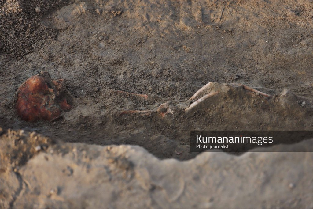 Kumanan tweet media