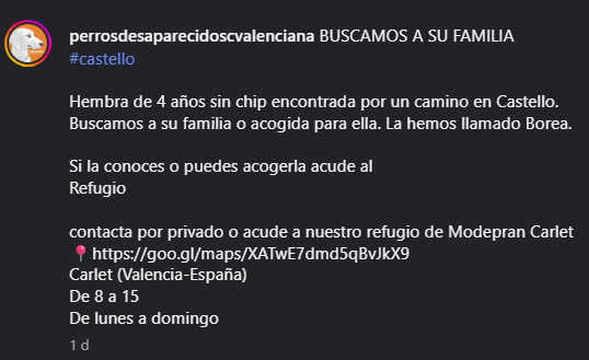 Nuriavg6's tweet photo. #AYUDA #PerrosPerdidos #PerrosEncontrados #Perros #Castelló #CastellónDeLaPlana Perrita encontrada en Castelló, no lleva chip, tiene 4 añitos, le han puesto de nombre Borea. Se busca a su familia o casa de acogida para ellla, está en el refugio de Modepran Carlet 615 88 78 20 https://t.co/0yfkILLENS