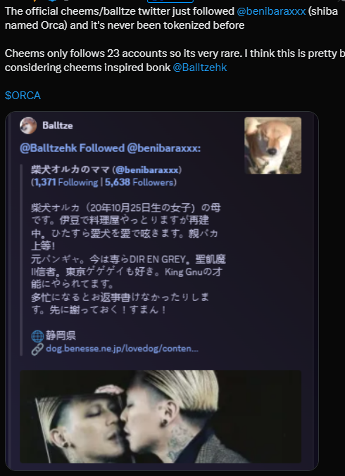 深海有鱼🐟 tweet media