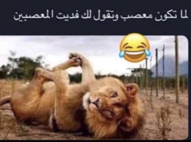 k tweet media