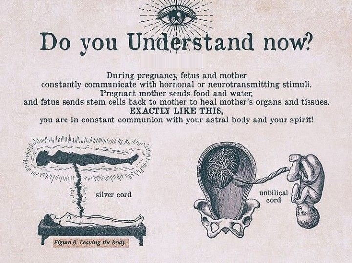 🧵 Thread: The Unseen Cord That Connects Us All 🌌

Just like a baby in the womb is never truly separate from its mother, our spirit is never truly separate from the higher consciousness.
Here’s a mind-opening perspective that blends biology and spirituality 👇