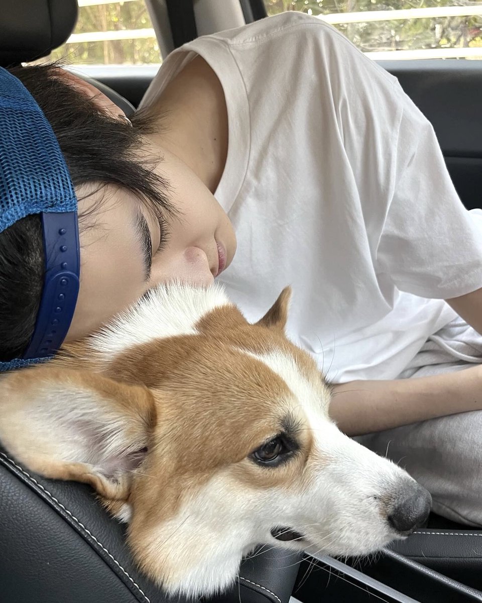 owof27's tweet image. หนุ่มตี๋รักสัตว์