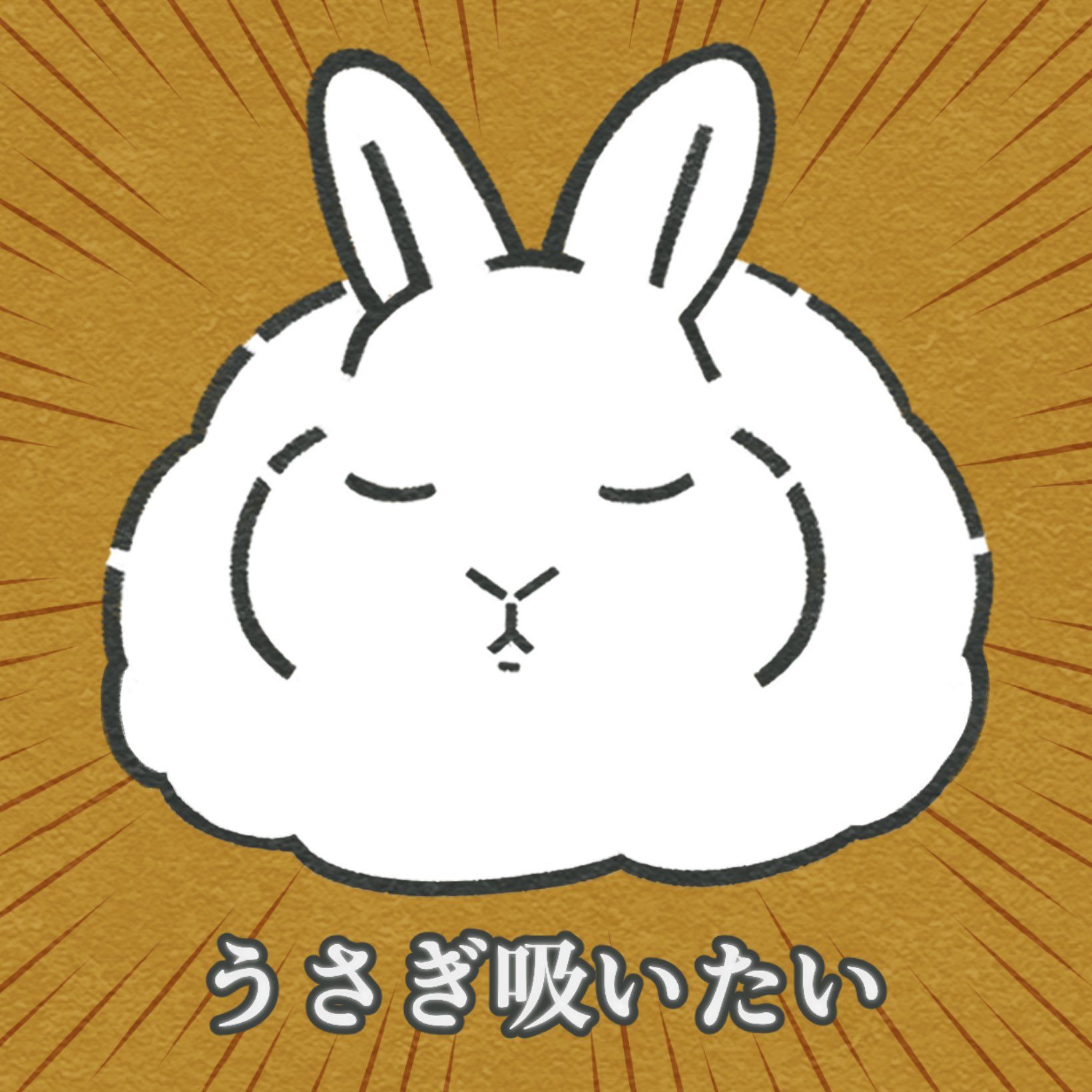 うさぎさん うさぎさんはお気に入りのまったりエリアでたくさん○を出しがち