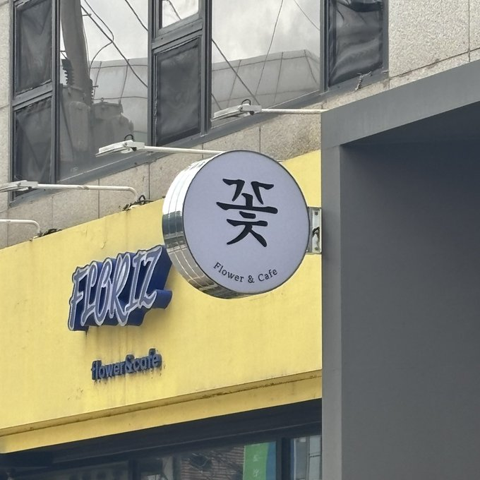 신경 쓰이는 꽃