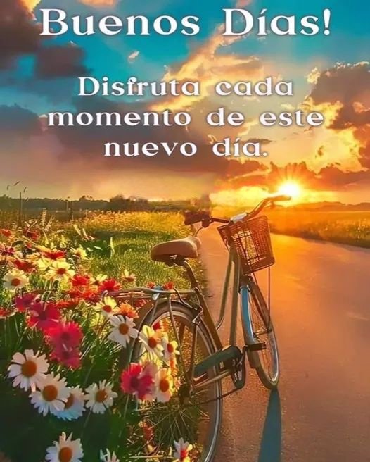 <a href="/Patrici41225636/">Patricia Eugenia Lozano Campo</a> Buenos Días...