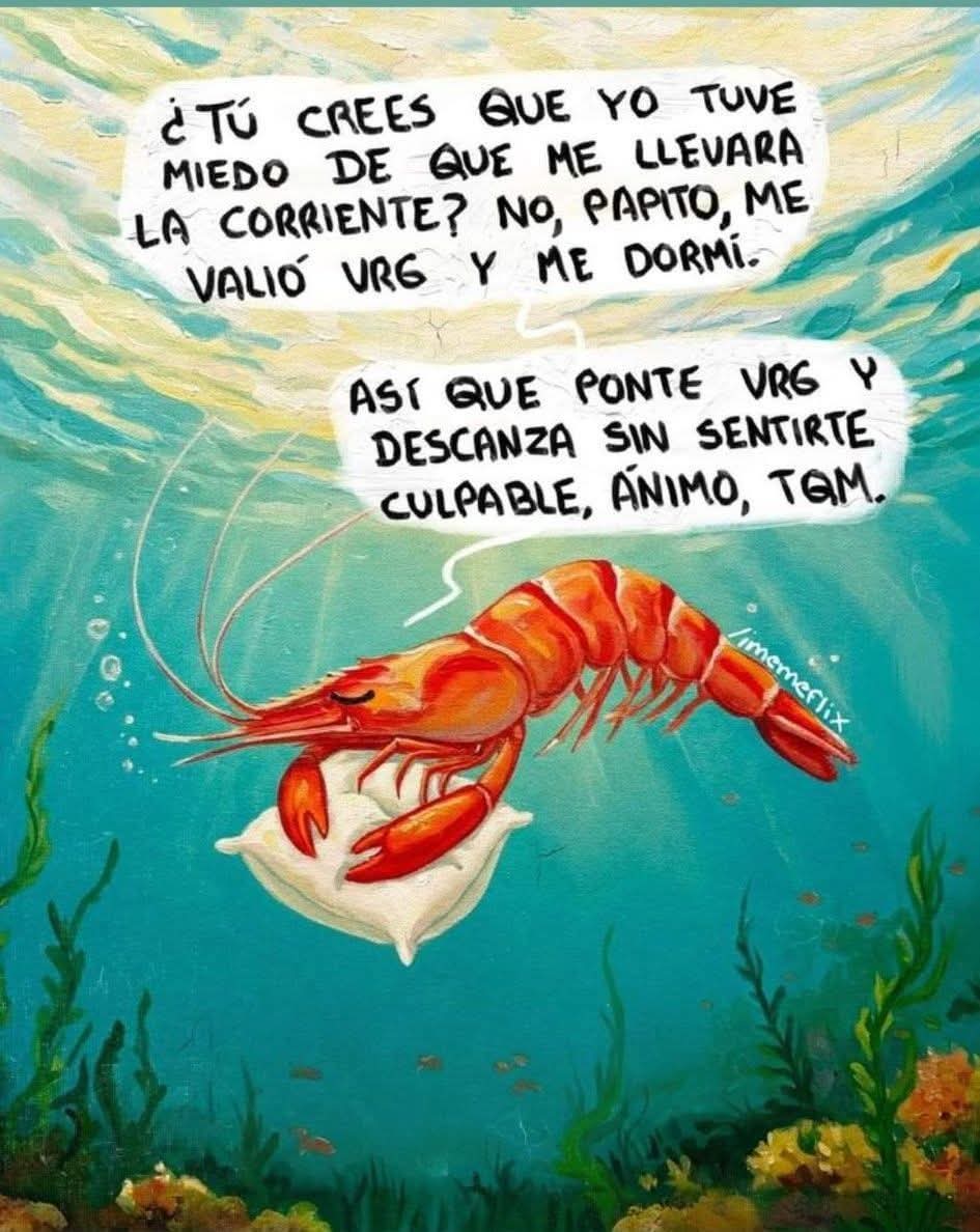 Ponte chingon