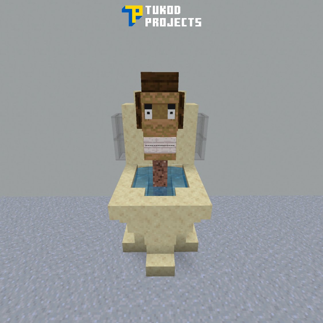 TukodProjects's tweet image. Minecraft Skibidi Toilet with a Shelf Block

#Minecraft #MinecraftBedrock #MinecraftBuilds #Skibidi #SkibidiToilet